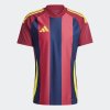 Pánský dres adidas STRIPED 24 JSY - foto 1