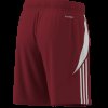 Dětské šortky adidas TIRO24 SHO Y - foto 9