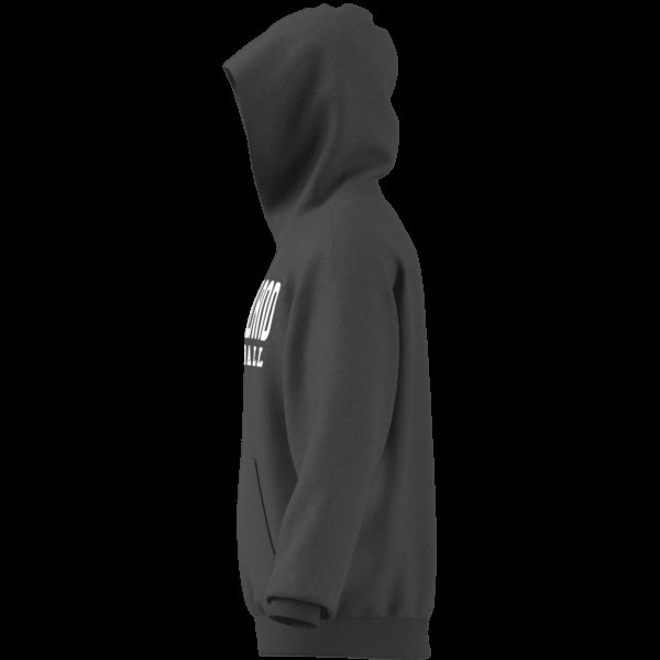 Pánská mikina adidas DBB GFX HDY M - foto 13